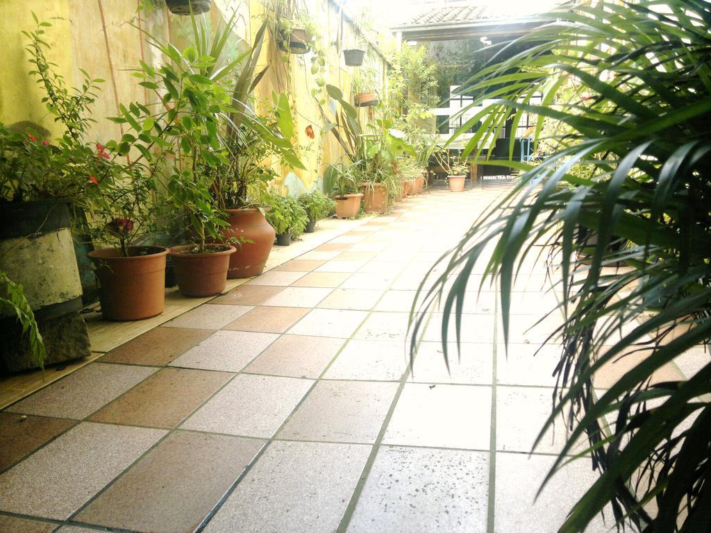 Pousada Flor Amarela Balneário Camboriú Exterior foto